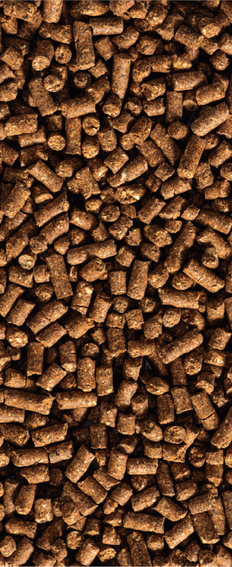 Compound feed