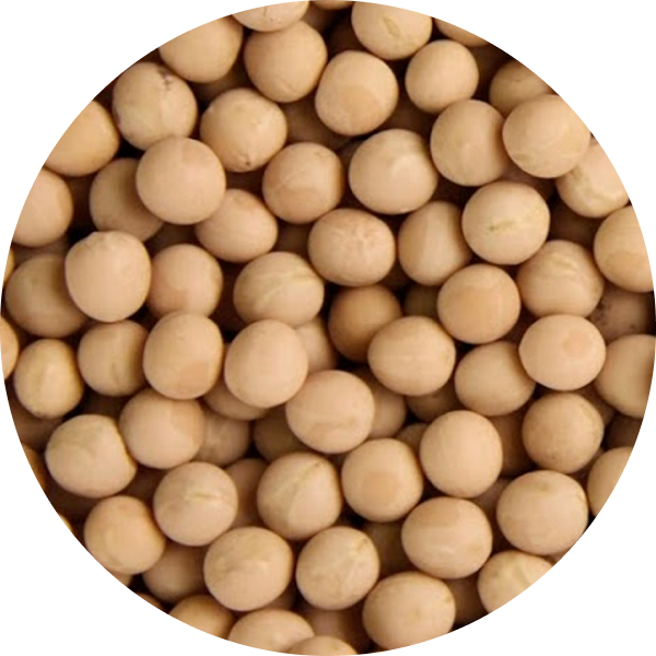 Peas