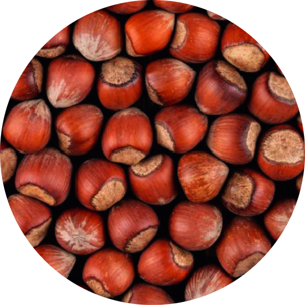 Hazelnuts