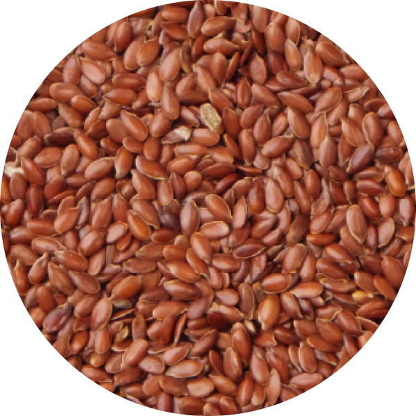 Flax